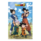 Poster 3d 58x38cm battle of gods goku vegeta family dragon ball super